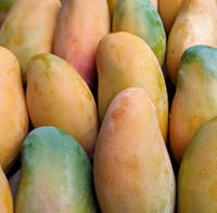 Image 2 of MANGO BABY