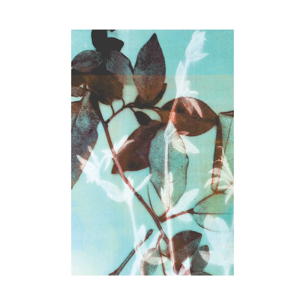 Image of Season III A3 poster print