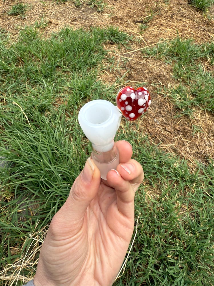 Image of Heart Mushroom Slides