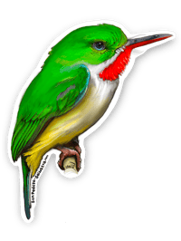 Image 1 of San Pedrito • Puerto Rican Tody Sticker