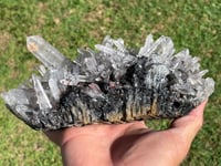 Image 9 of Laser Quartz Cluster In A Bed Of Hematite #1967