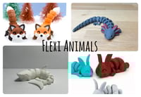 Articulated Animals