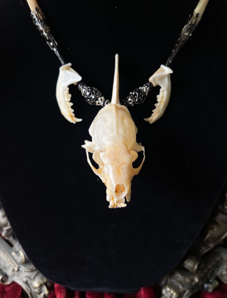 Image of Mink Skull Pendant - Bone Necklace 