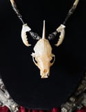 Mink Skull Pendant - Bone Necklace 