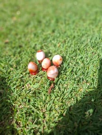 Image 4 of Carnelian Egg Carvings