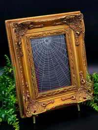Image 1 of Beautiful Ornate vintage  Framed preserved Web