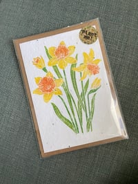 Image 2 of Plantable Seed Card - Daffodil Lino