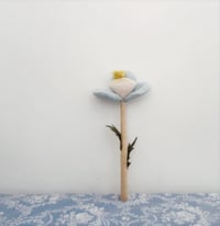 Image 2 of spring flower 