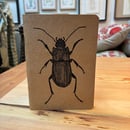 Image 6 of Insect notebooks