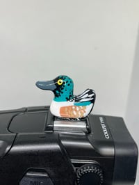Image 1 of Northern Shoveler Hotshoe Cover