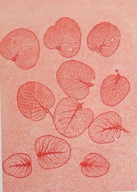 Image 1 of Eucalyptus leaves Monoprint Orange
