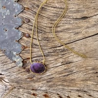 Image 6 of Caged Wisdom