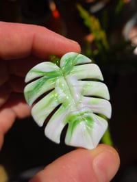 Image 3 of Variegated monstera leaf pendant 