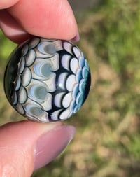 Image 5 of nova 