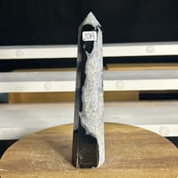 Image 1 of Black Agate Tower (20A)