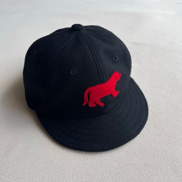 Image of *PRE-ORDER* 1901 Detroit Tigers Ball Cap