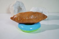 Image 5 of Sweet Potato on a Pool Floatie