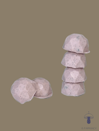 Wild Blueberry Truffle *Last one!*