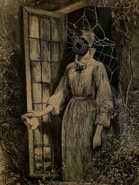 Image 2 of Victorian 1800s page - The faceless Lady in the window - Real preserved spide web