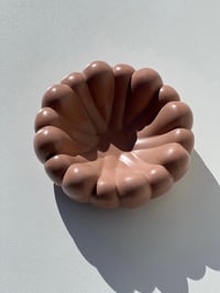 Image 8 of BUBBLE DISH