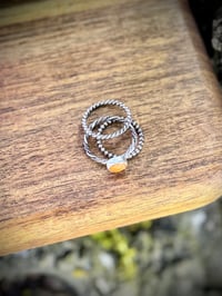 Image 3 of Spiny Oyster Stacker rings - size 8