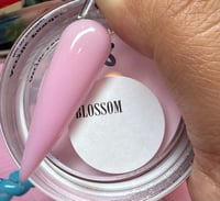 Image 8 of Pinky Nude Collection- Acrylic ( Singles) 