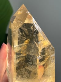 Image 10 of XL NATURAL CITRINE WITH BLACK TOURMALINE TOWER -BRAZIL-