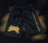 Image 1 of Visceral Disgorge-Black Shorts