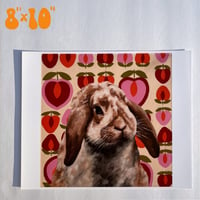 Image 2 of Lop rabbit print