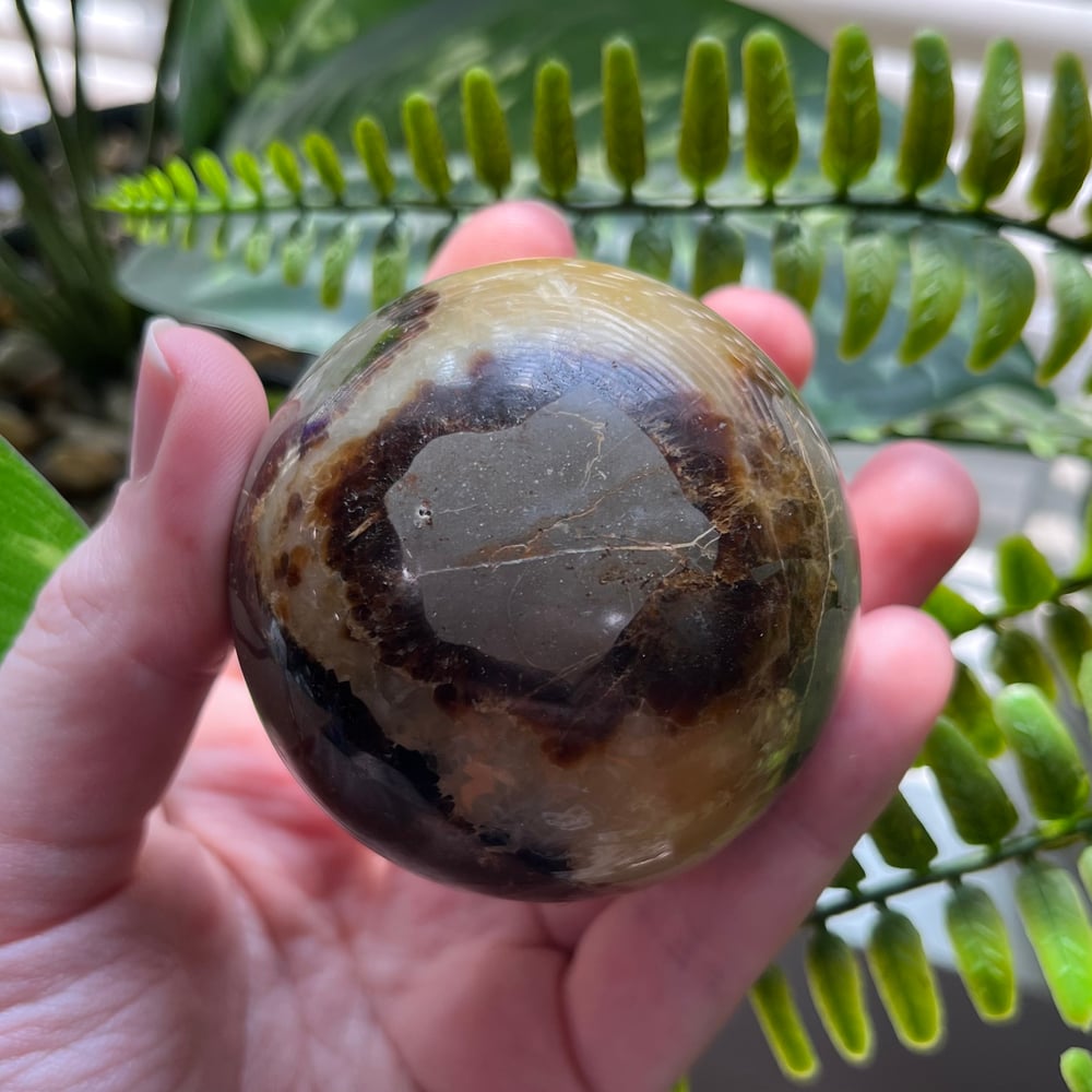 Septarian Sphere D