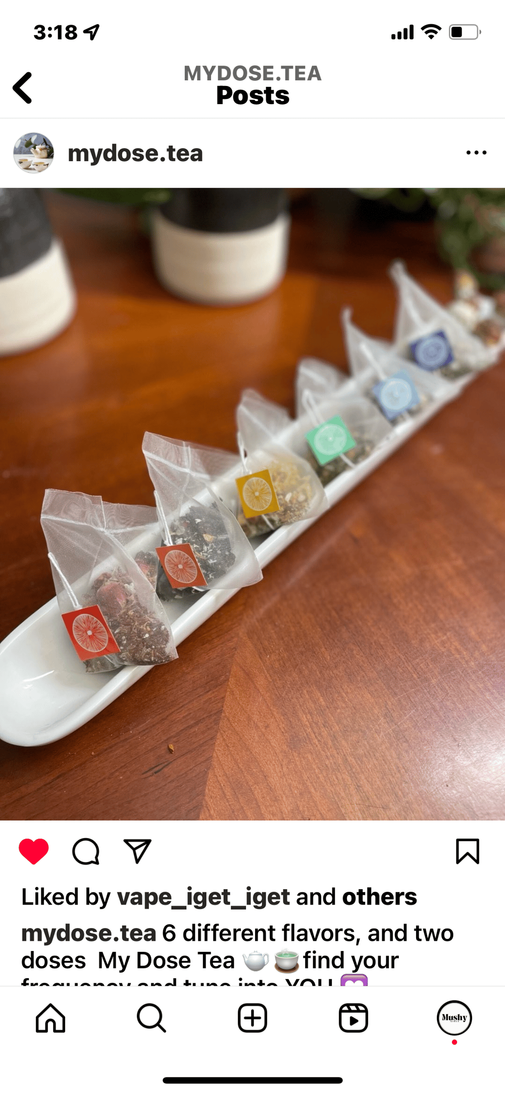 Magic Mushroom Tea Tins- MyDose