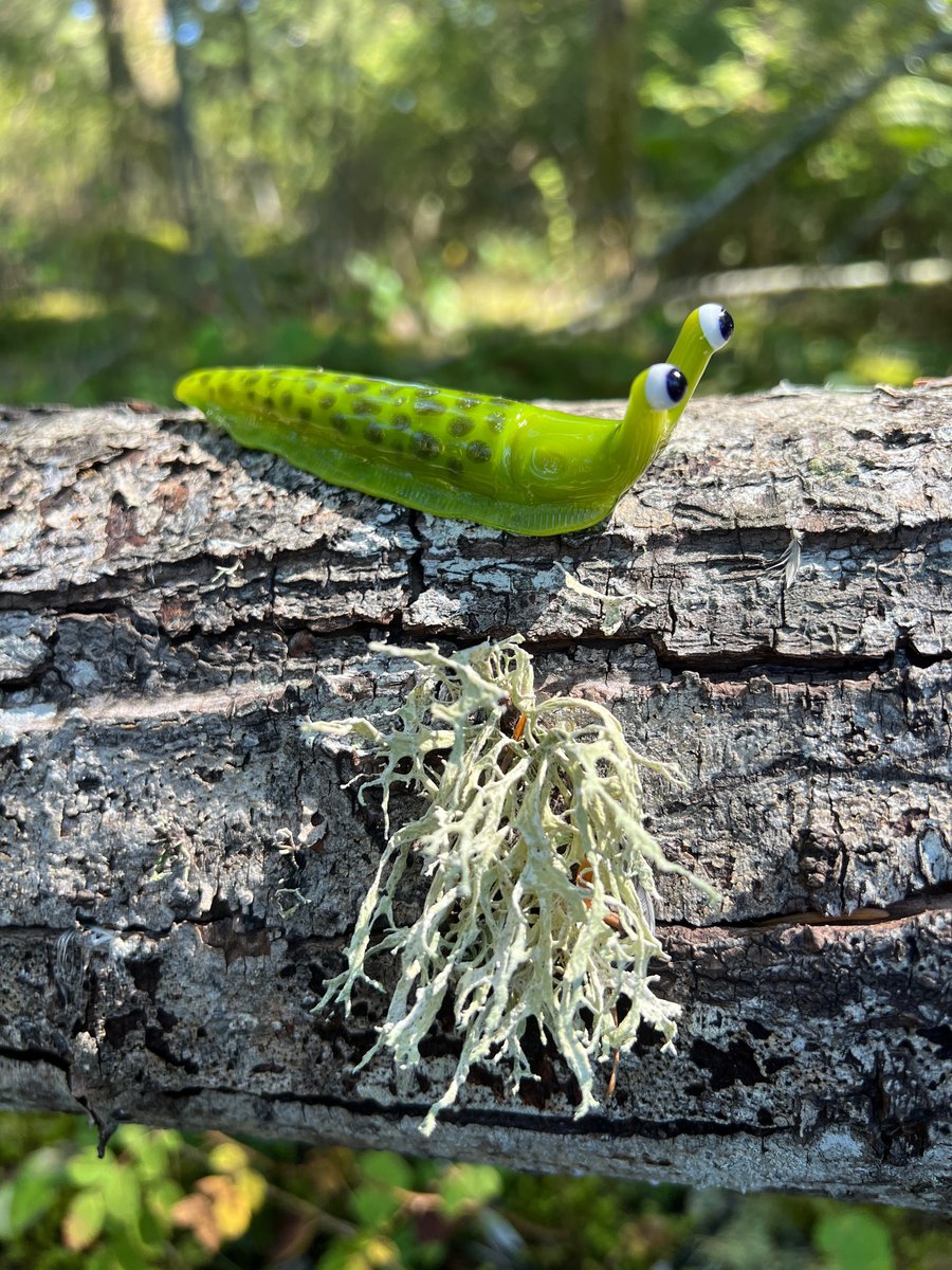 Image of Chartreuse Boro Slug