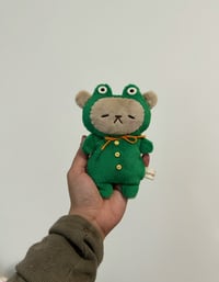 Froggie Bear