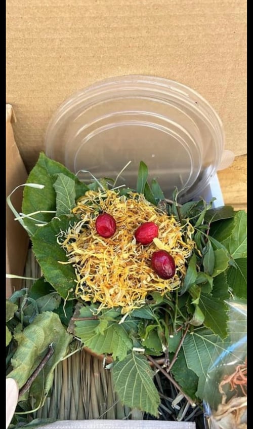 Image of Picnic box (FAKEAWAY RANGE)