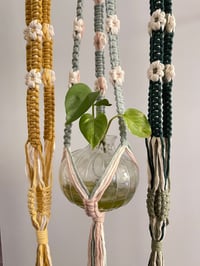 Image 1 of Daisy Plant Hangers