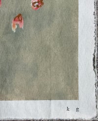 Image 5 of Peach Rose