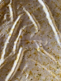 Image 1 of Silk Scarf 002