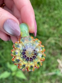 Image 4 of Snapdragon