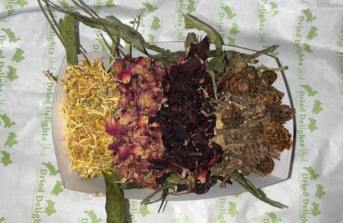 Image of Halloween Mini enrichment toy tray 