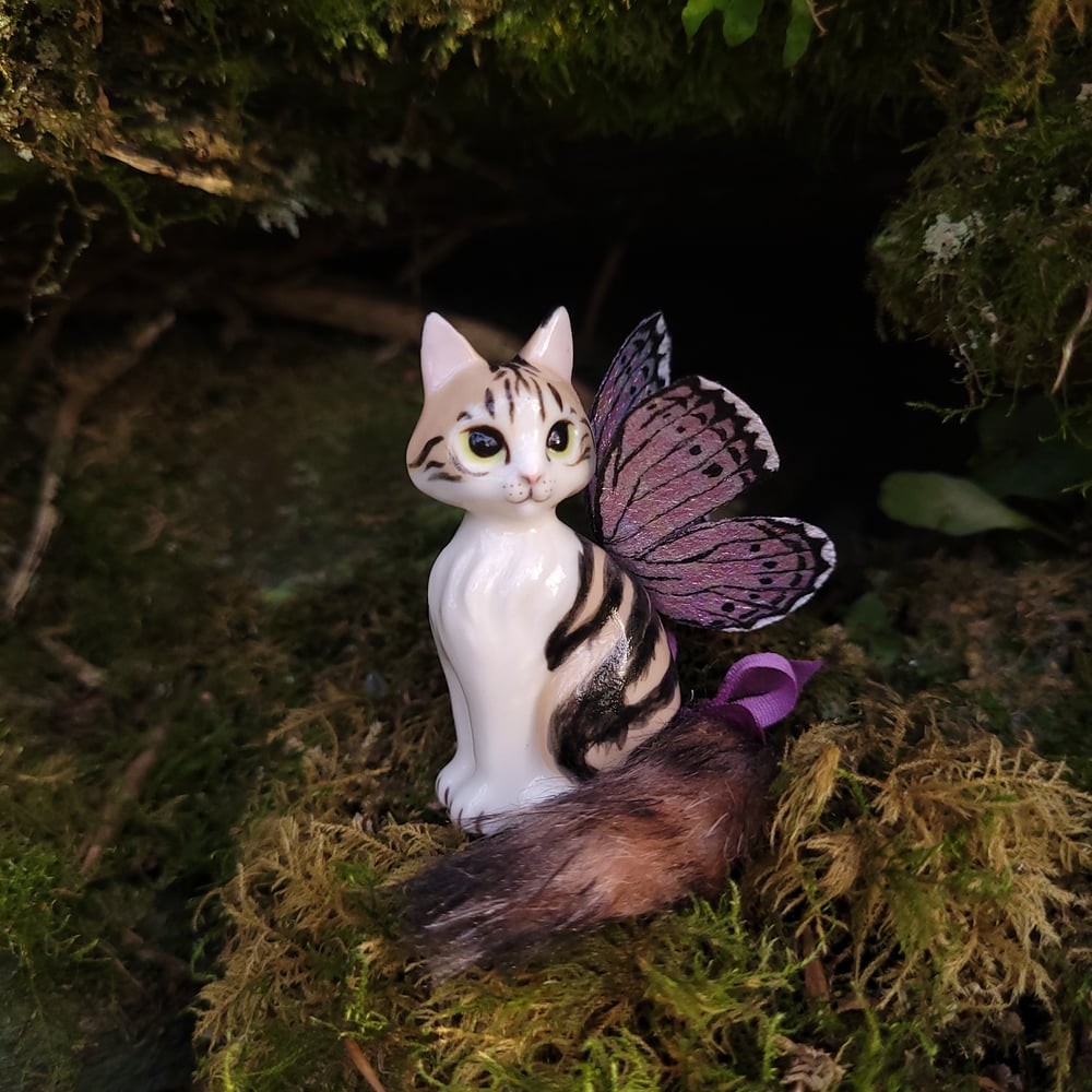 Image of Fairy Trinkitty Brown & White Tabby