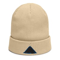 Image 1 of Pillar embroidered beanie