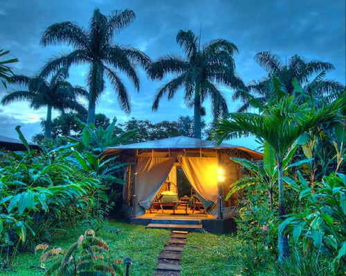 Image of The Art of Being: Yoga and Ayurveda Retreat Costa Rica