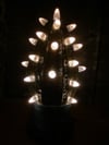 Army Green and White Themed Ceramic Cactus Night Light Lamp