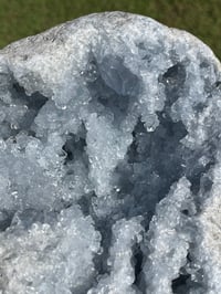 Image 6 of Celestite Geode #1801