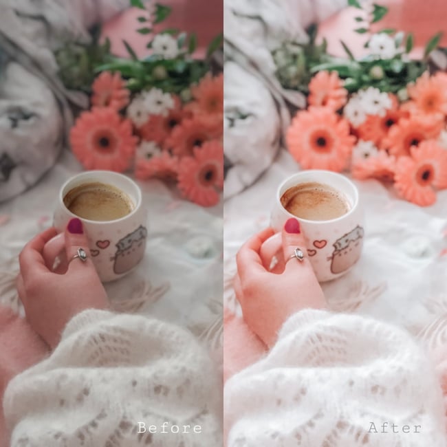 Peony Fields (5 Lightroom Mobile Presets)