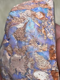 Image 7 of Boulder Opal #2409