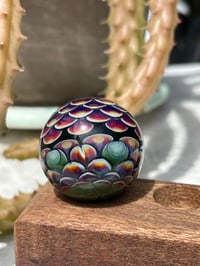 Image 9 of star marb