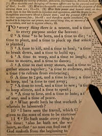 Image 4 of Memorial Card 1800s - real preserved spider web and 1800s Bible page -B