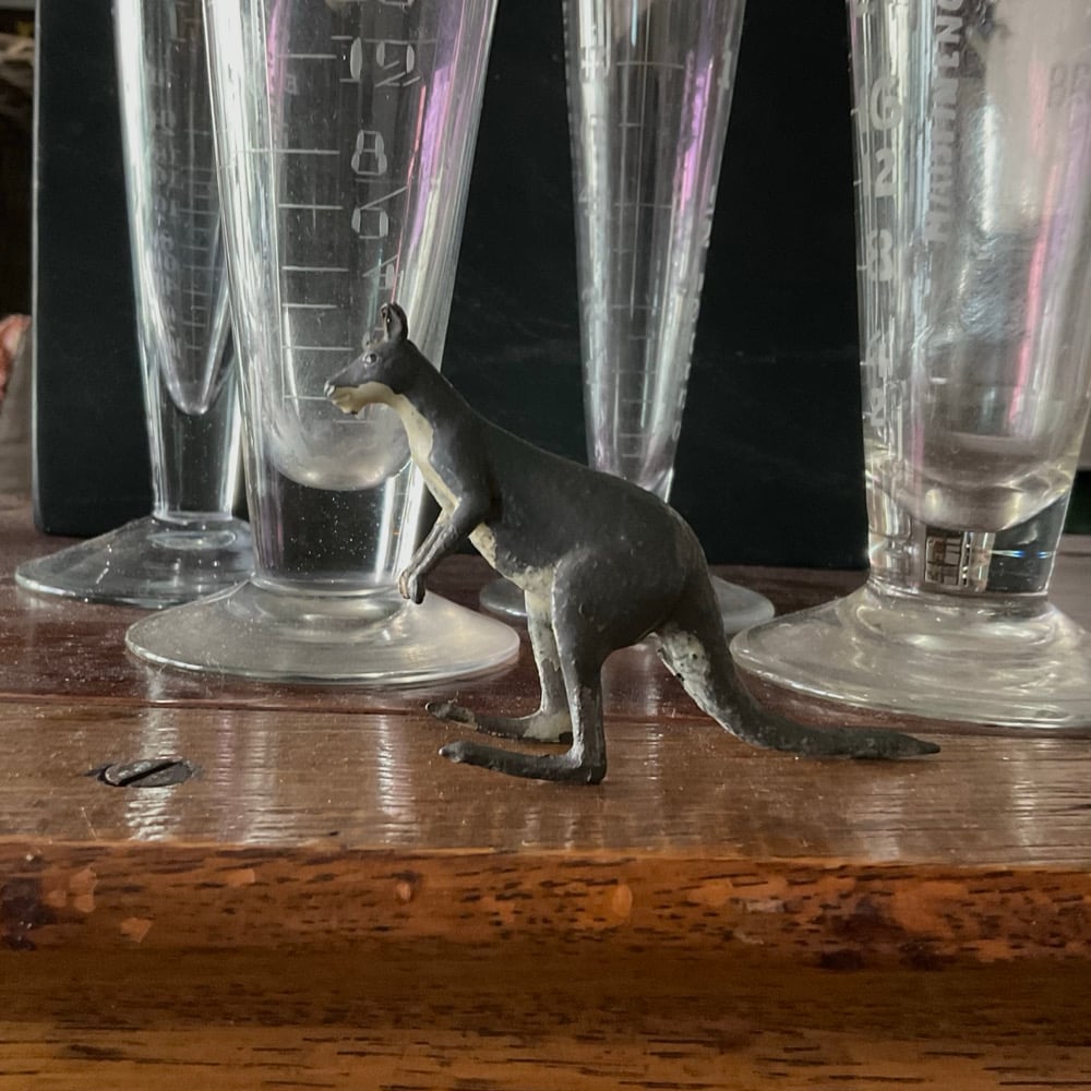 Image of Kangaroo