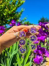 Violets